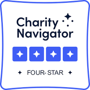 charity navigator