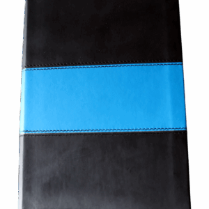 bible from cover with blue line